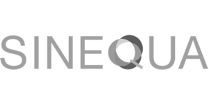 logo sinequa 300x150 nb